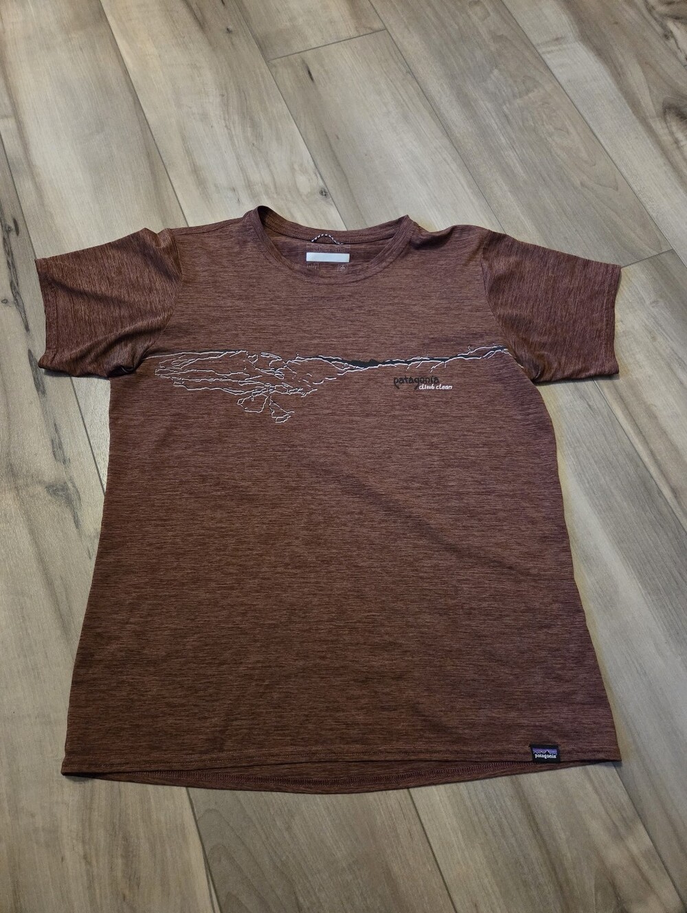 Patagonia Brown Graphic Crew Neck T-Shirt